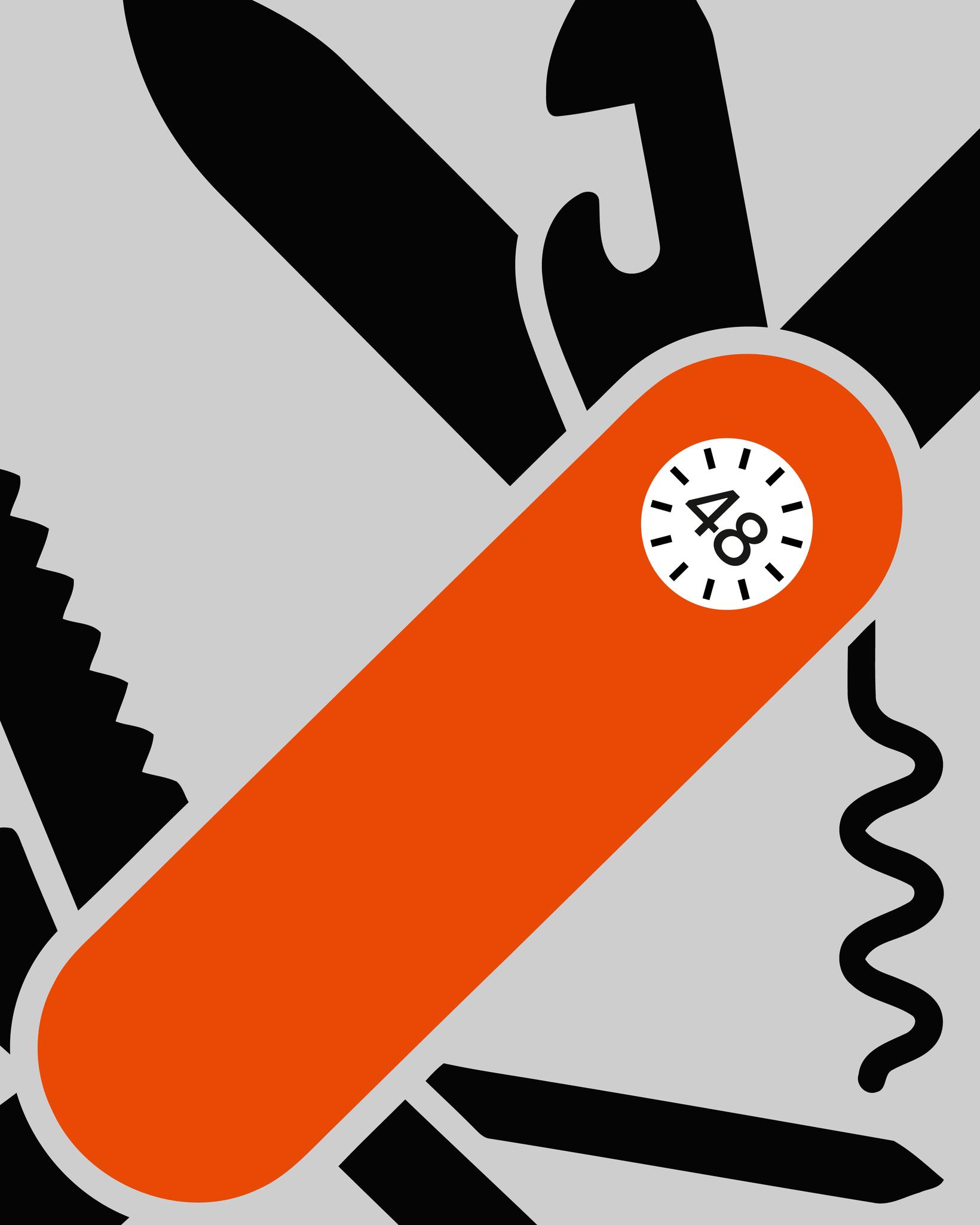 Bild von Werde das Schweizer Sackmesser in deinem Team